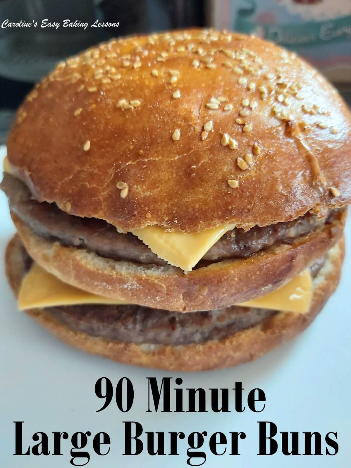 90 minute large burger buns with 2 burgers and cheese slices.