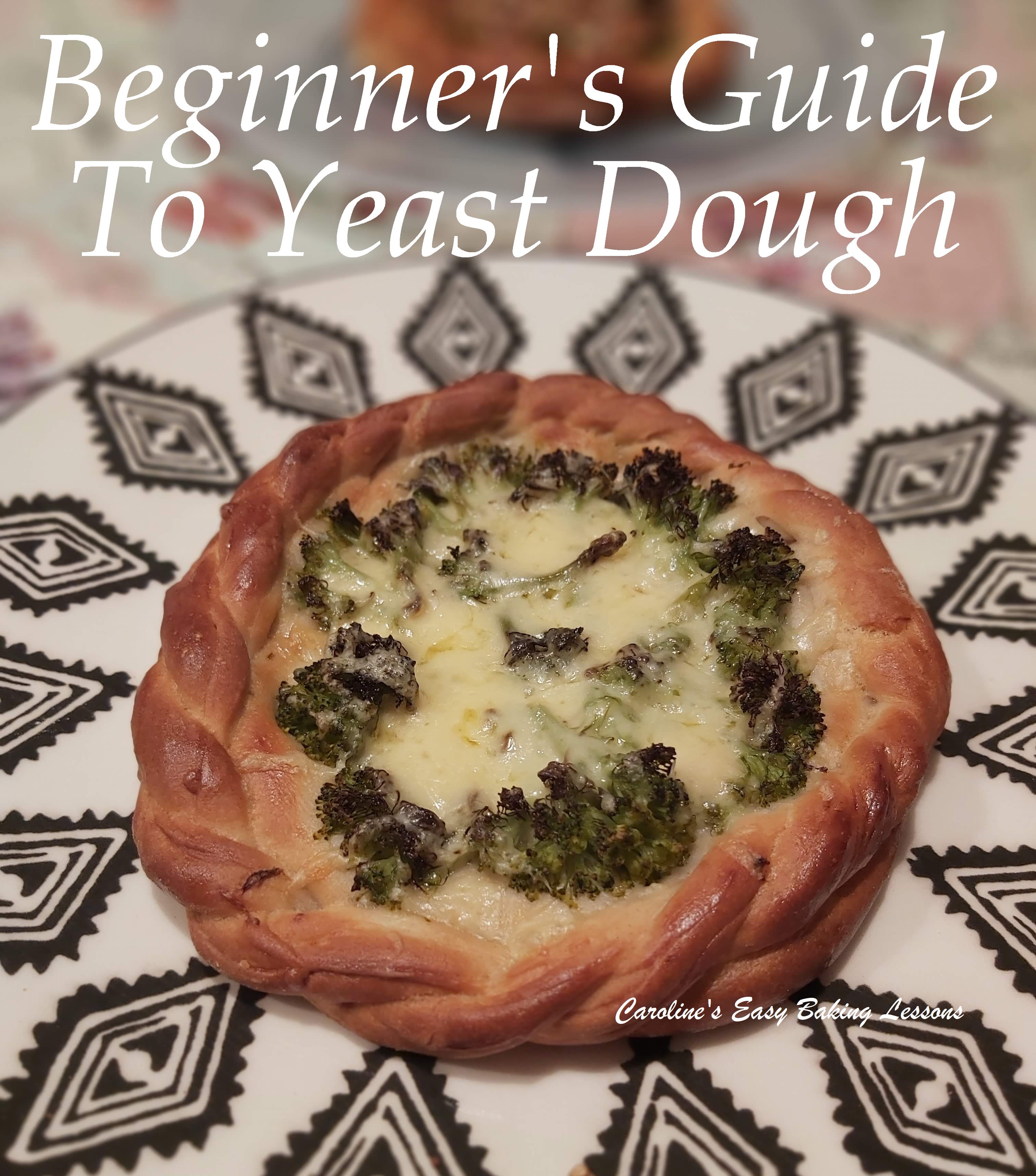 QUICK GUIDE FOR BEGINNERS TO WORKING WITH YEAST DOUGH – Part 1