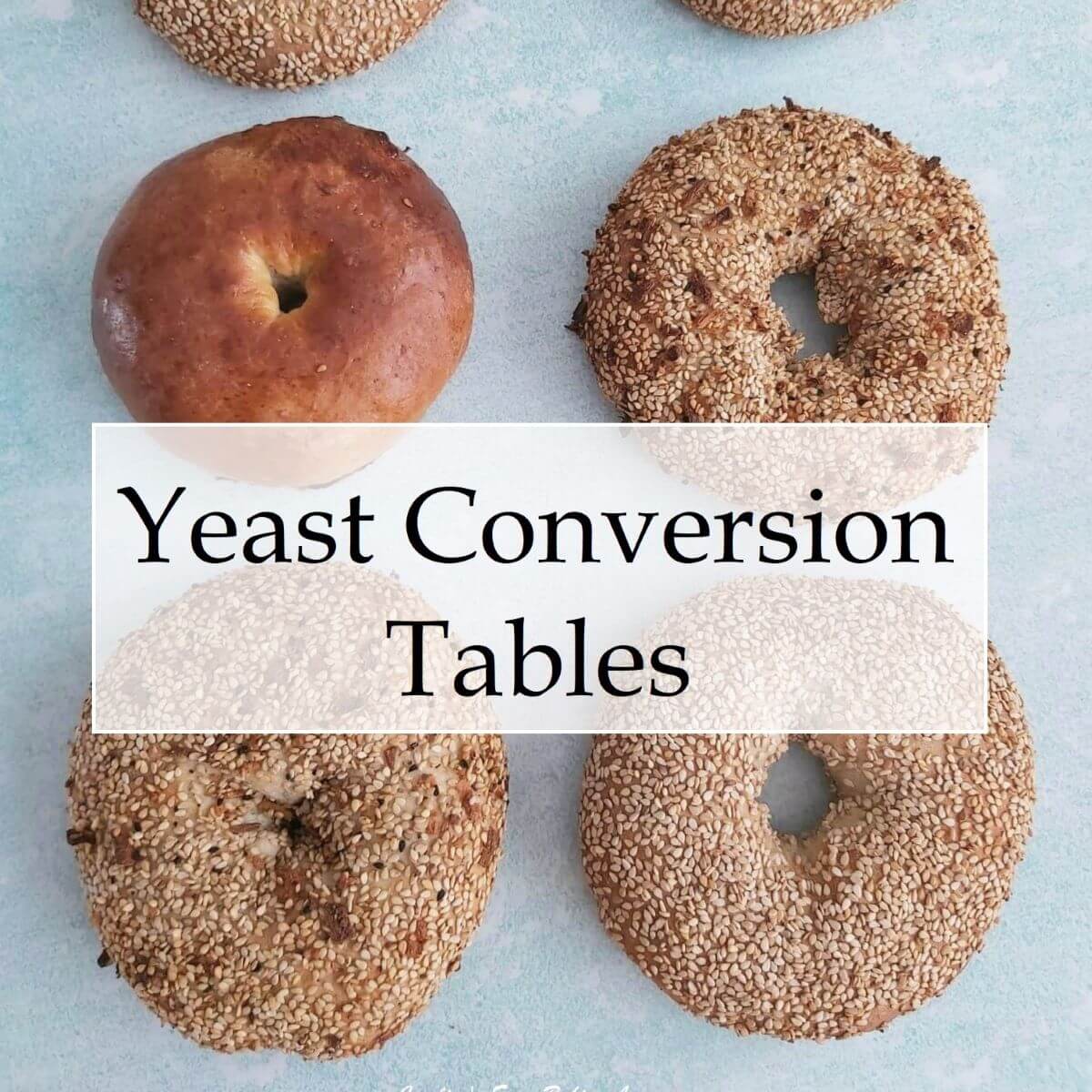 Ovrhead photo of 4 large seeded bagels with title yeast conversion tables.
