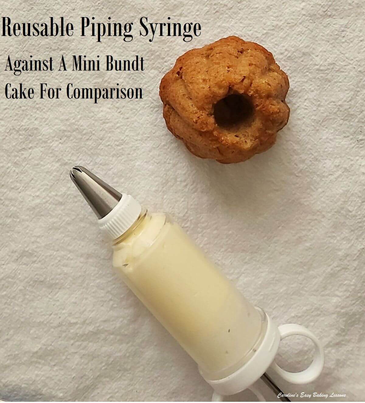 Photo above a platic piping syringe next to a mini bundt cake, labelled and for size comparison.