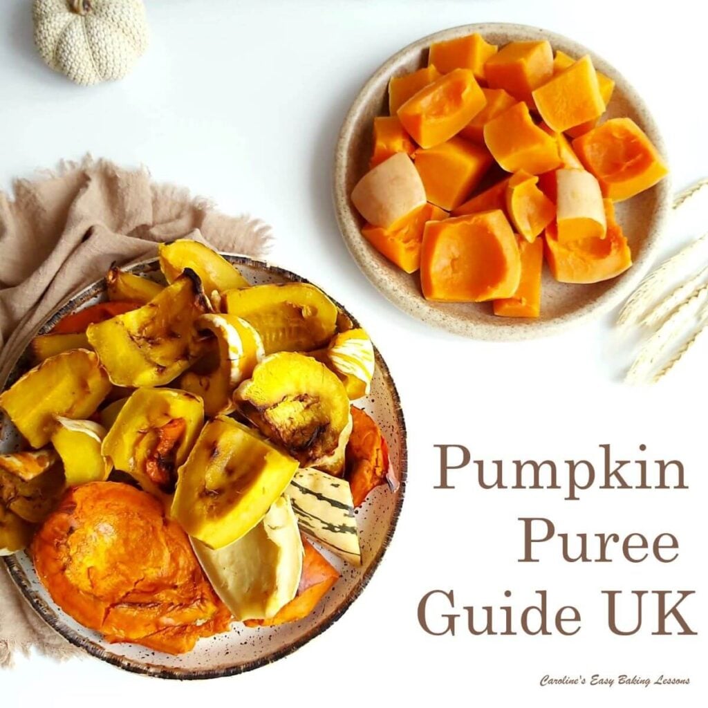Overhead shot on white background, of 2 plates of roasted multi colouredsquash and punpkin pieces, with text 'pumpkin puree guide UK'.