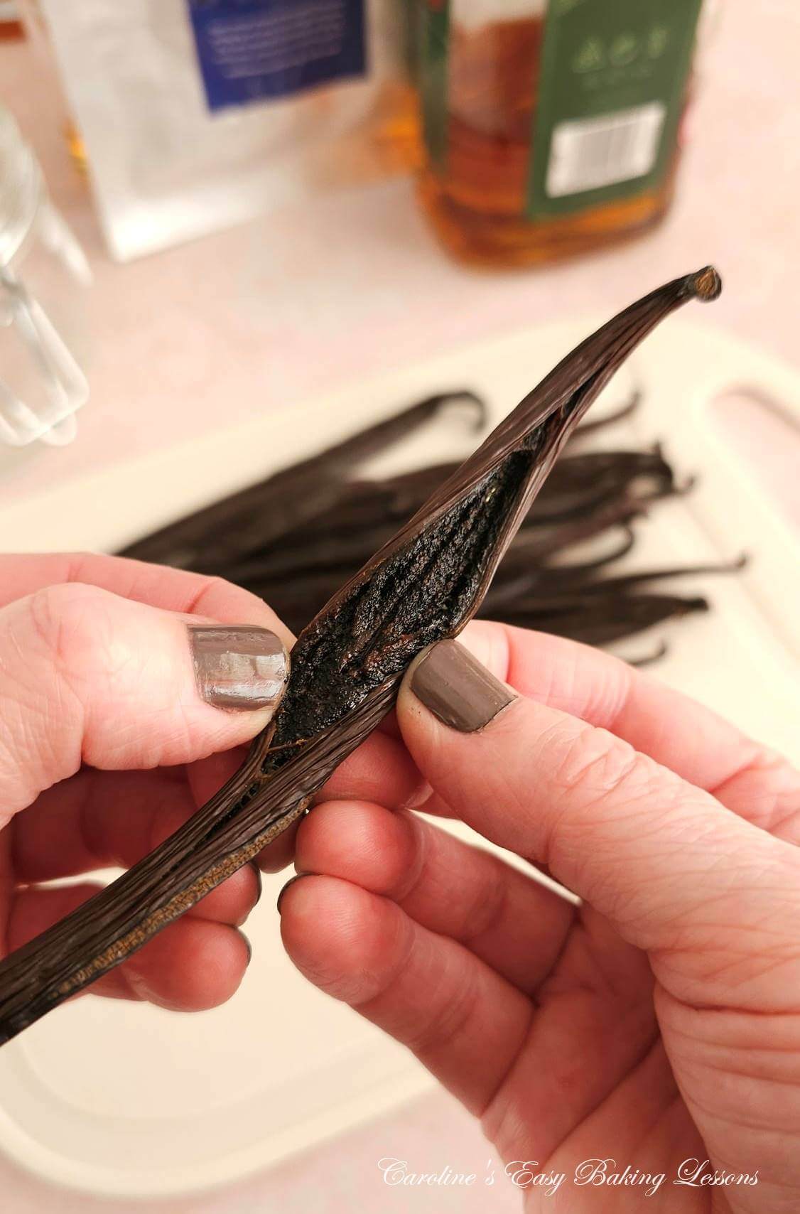 Close photo of female hand holding open a split vanilla bean.