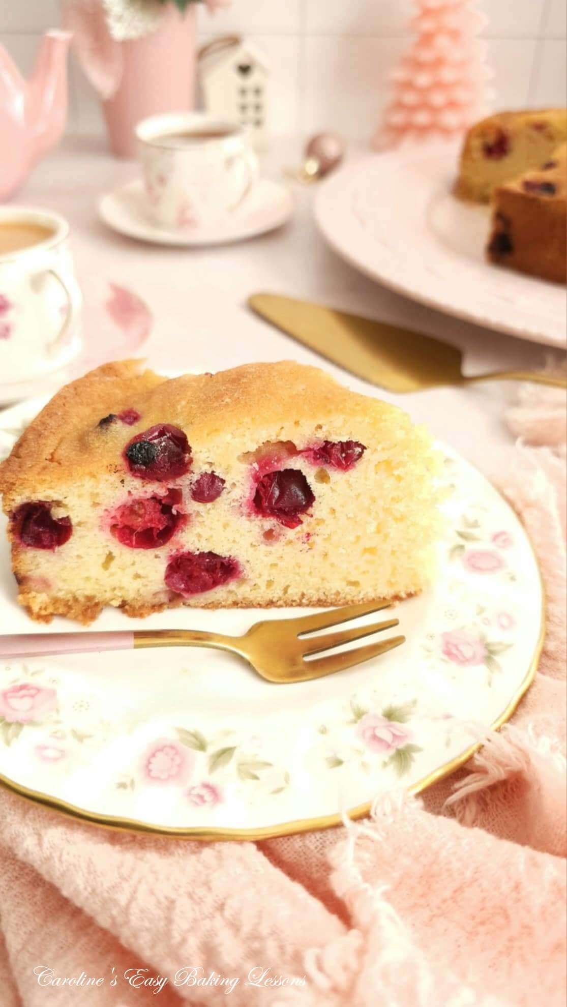 Long photo of slice of cranberry studded Madeira cake.