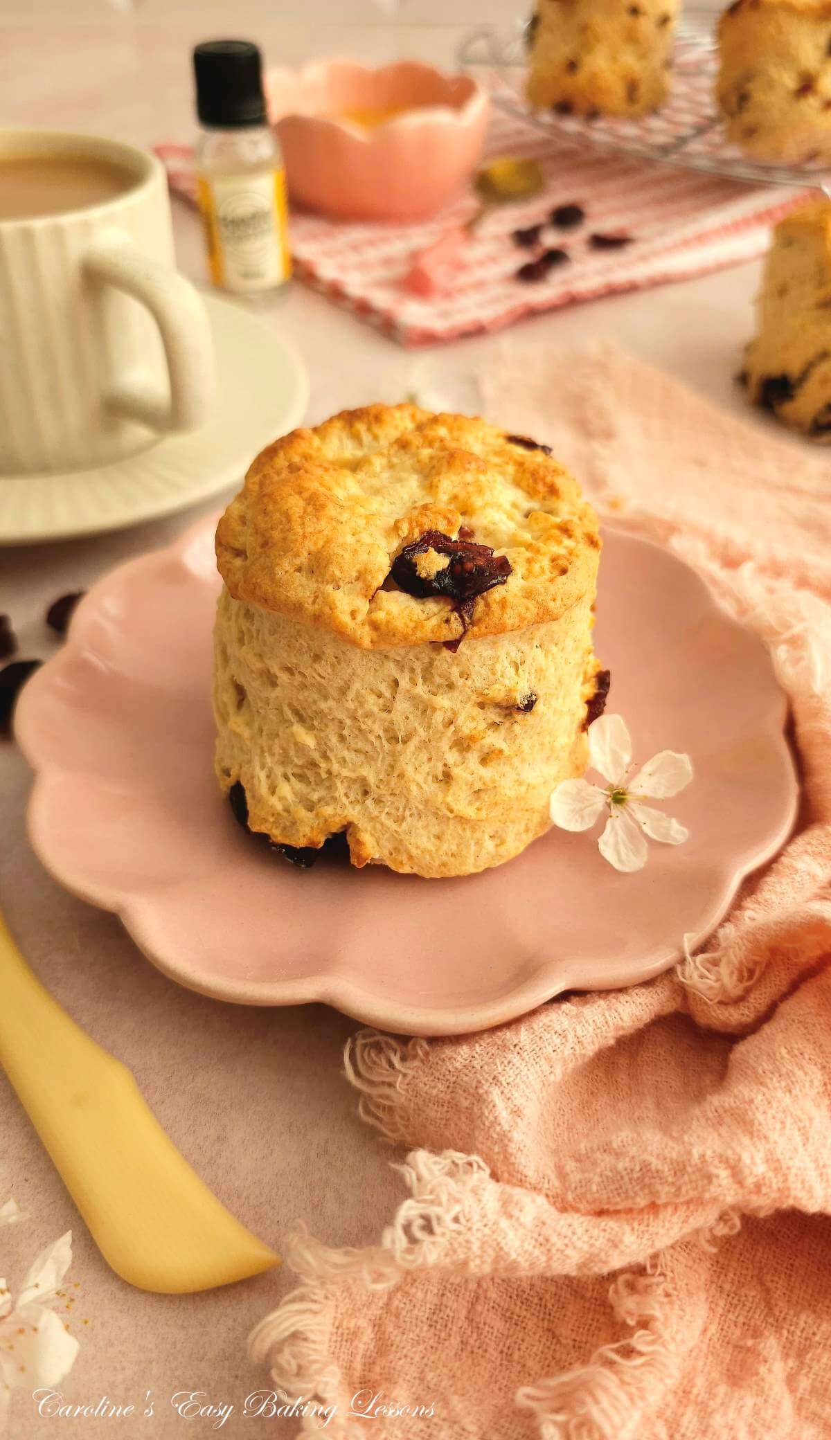 Table with pink napkina dn crockery, with a tall British scone with dried cranberries and mango.