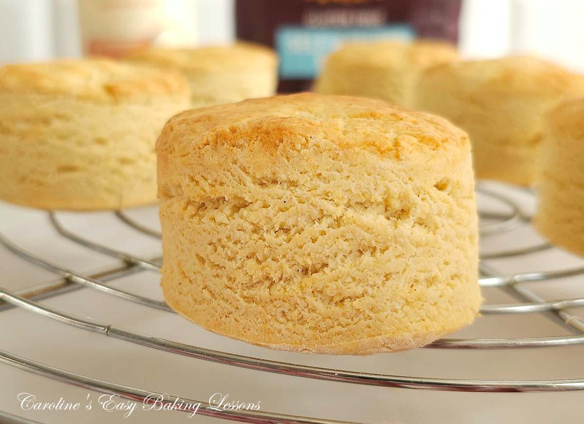 Extra close show of a well risen, gluten-free British scones, cooling on rack, showing texture.